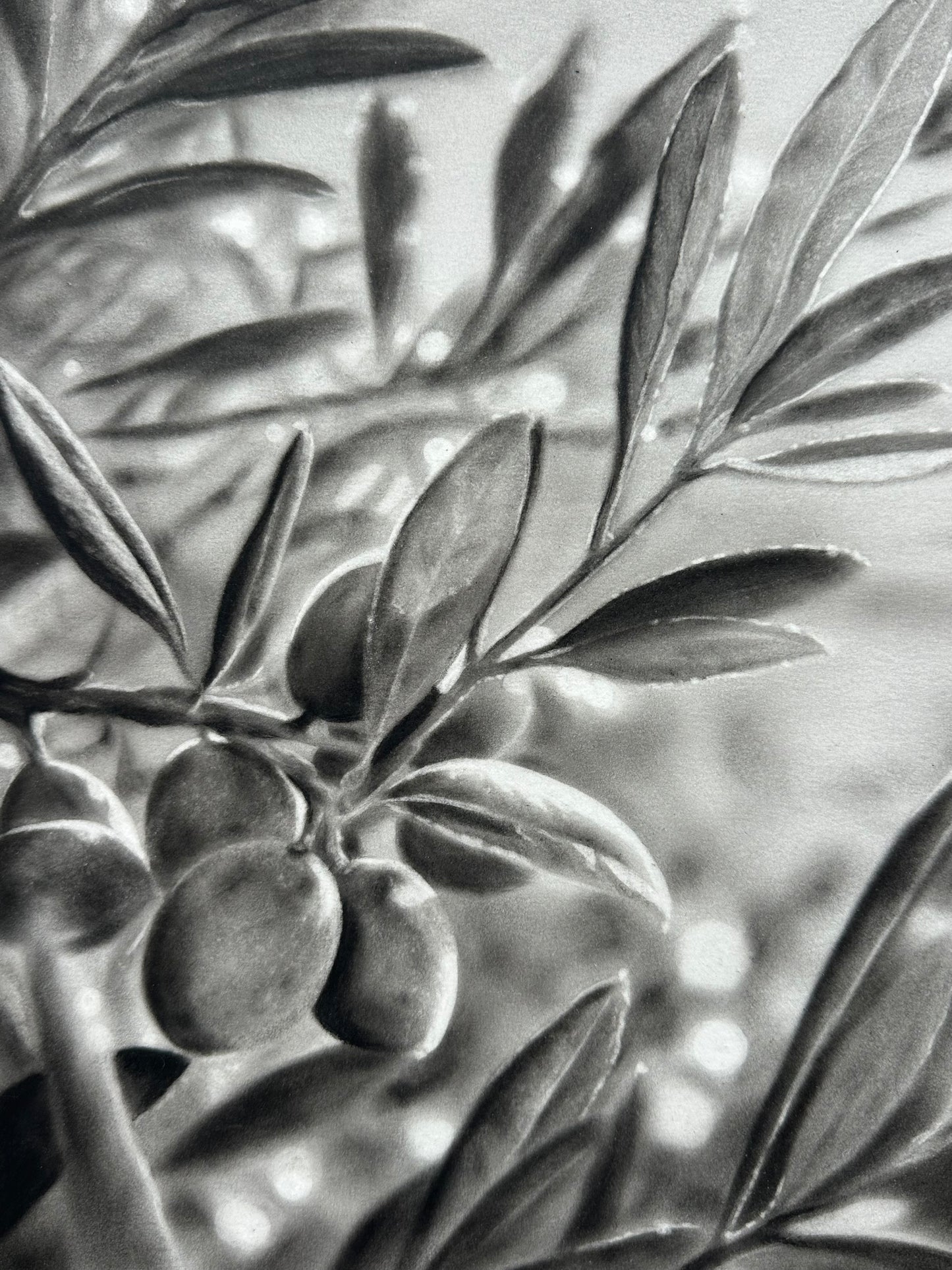 Sur le chemin de la plage - Charcoal Drawing