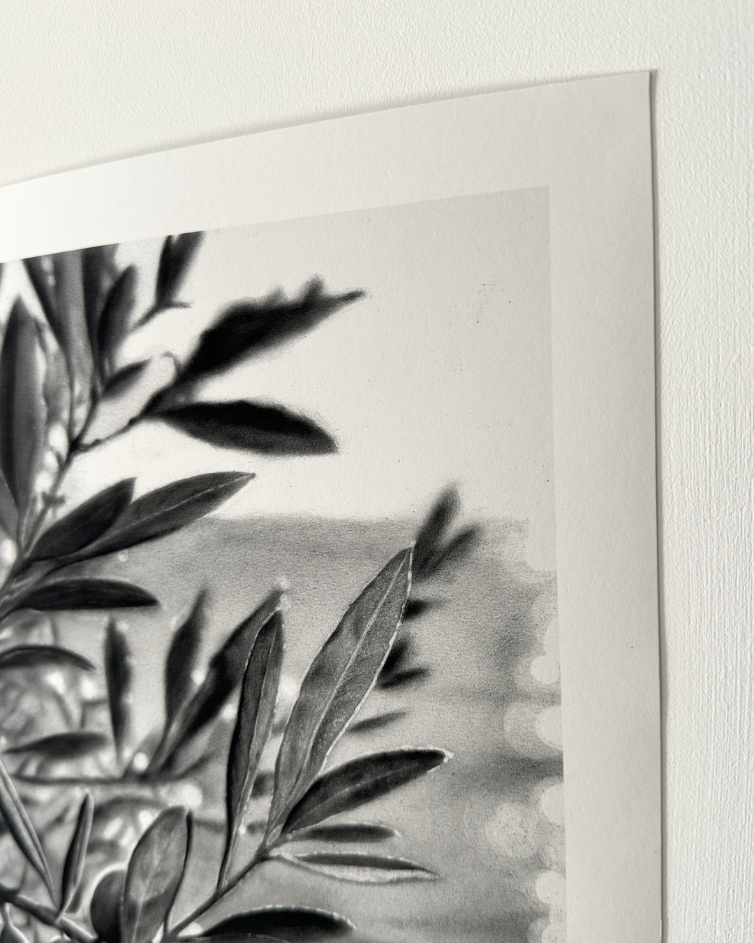 Sur le chemin de la plage - Limited edition print