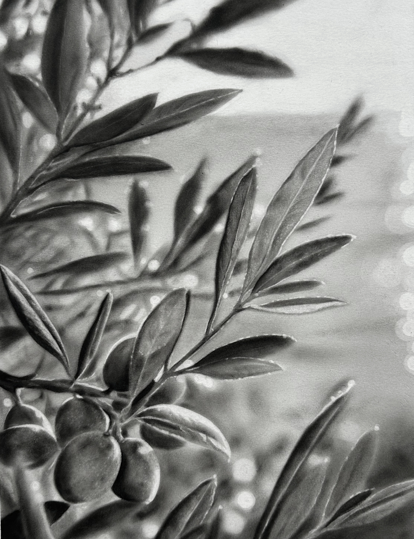 Sur le chemin de la plage - Charcoal Drawing