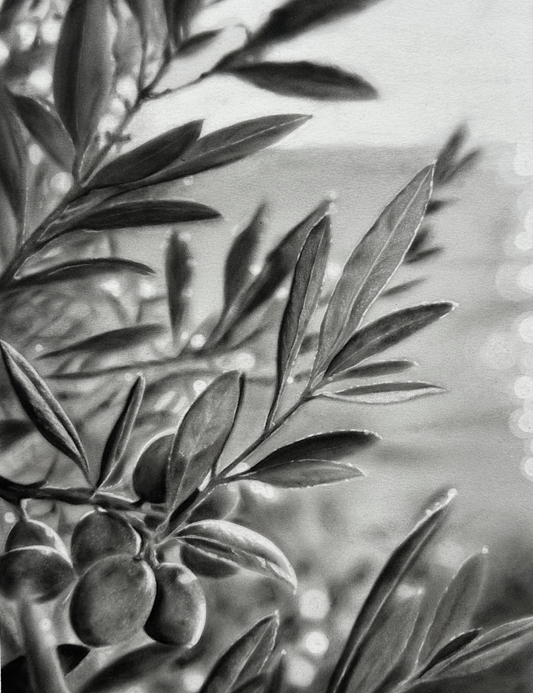 Sur le chemin de la plage - Charcoal Drawing
