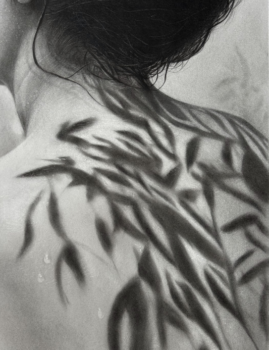 L'ombre des lauriers - Charcoal Drawing