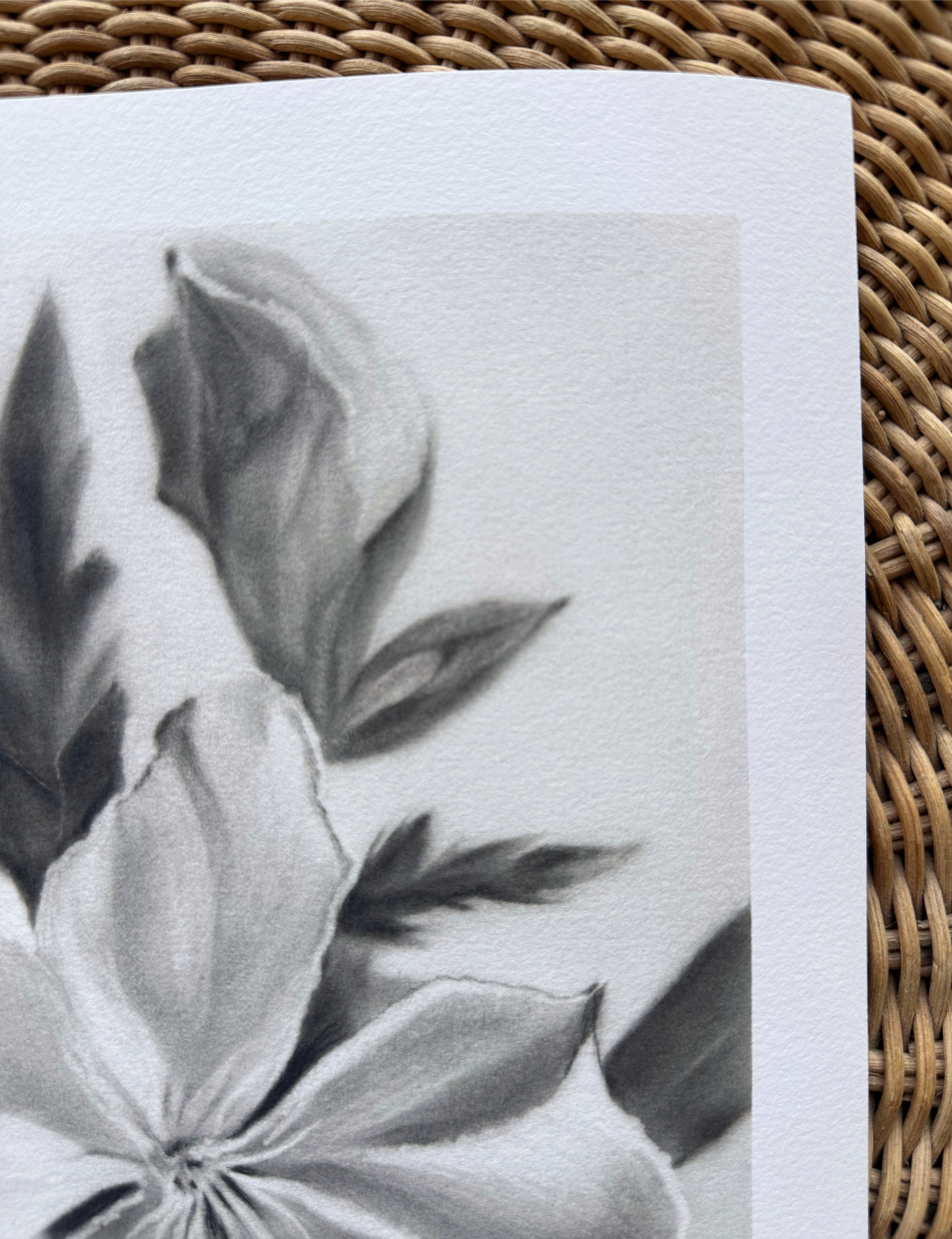 Après la rosée - Limited edition print