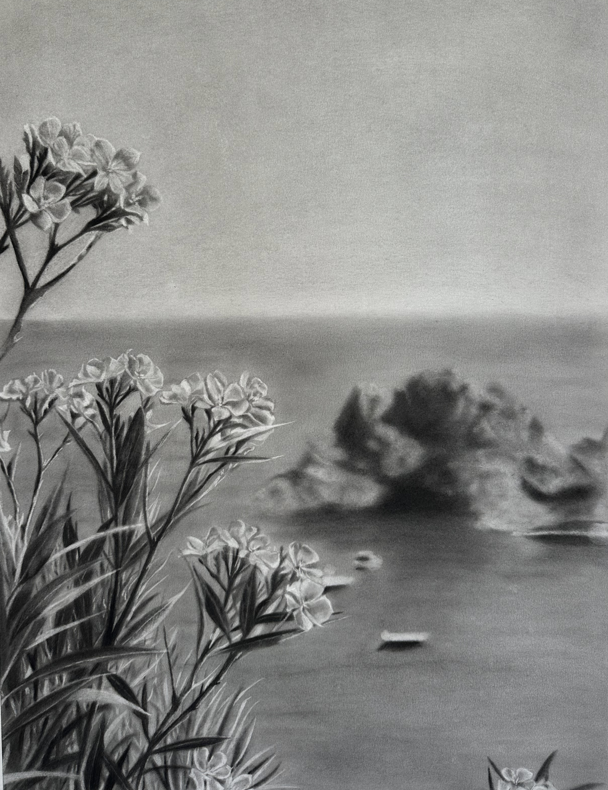 Fenêtre sur l'Estérel - Charcoal Drawing