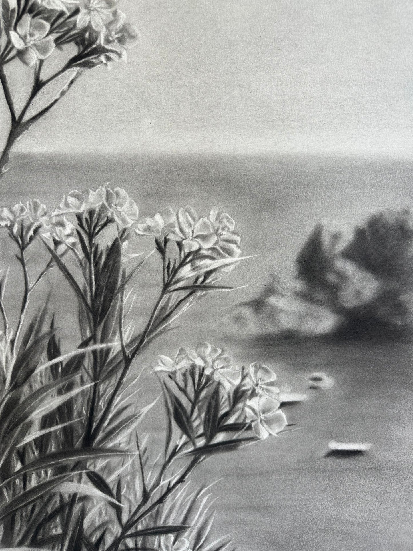 Fenêtre sur l'Estérel - Charcoal Drawing