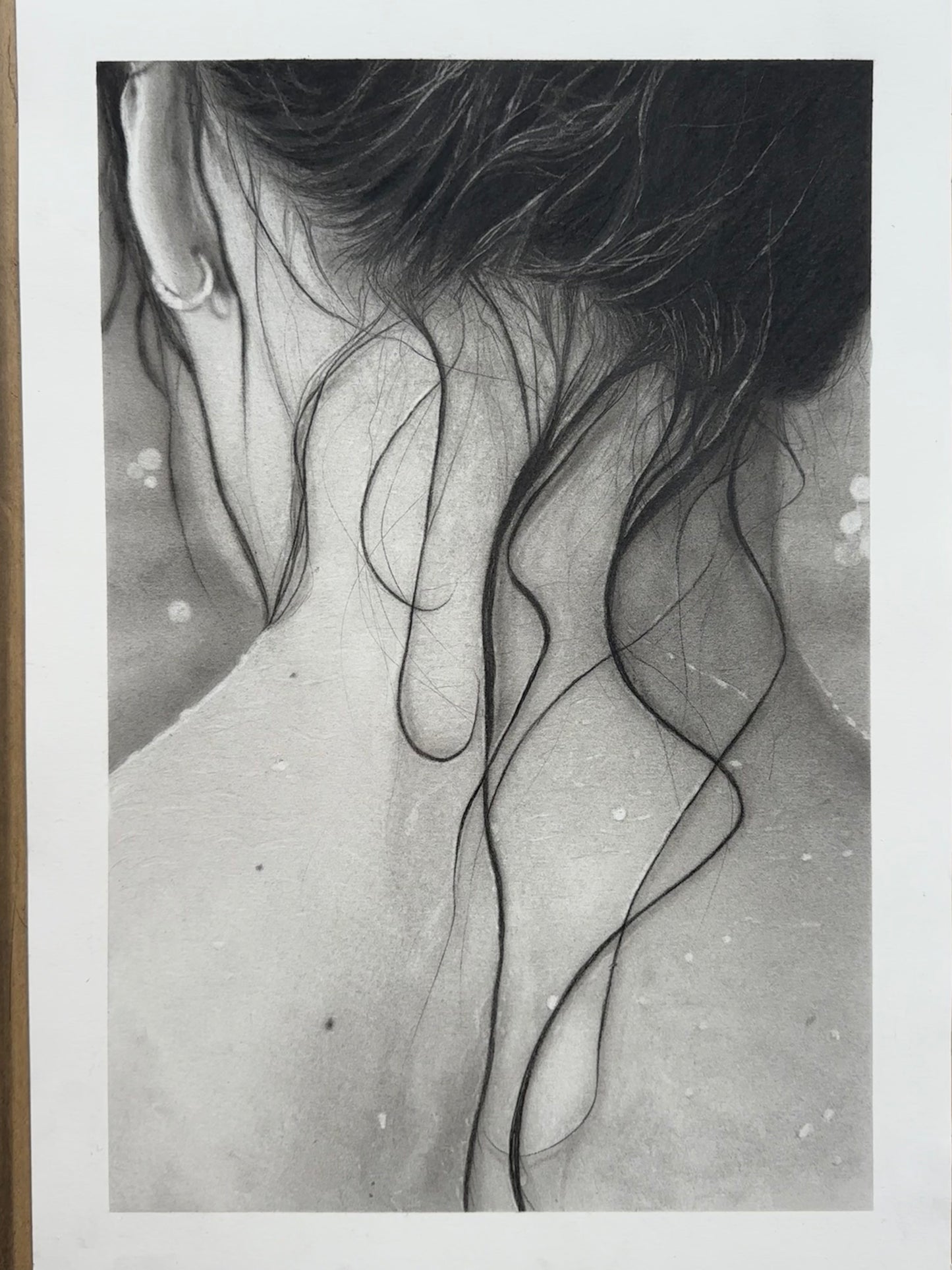 Parfum iodé - Charcoal Drawing
