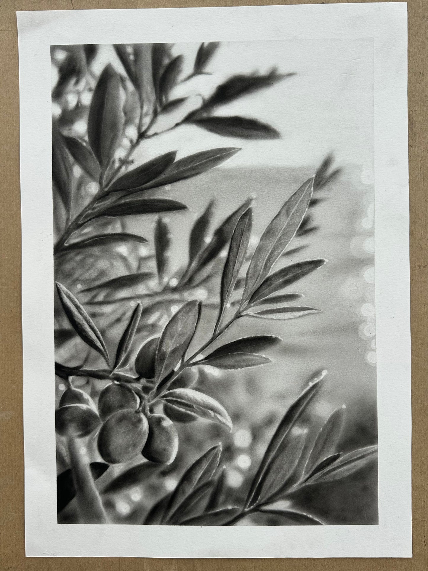 Sur le chemin de la plage - Charcoal Drawing