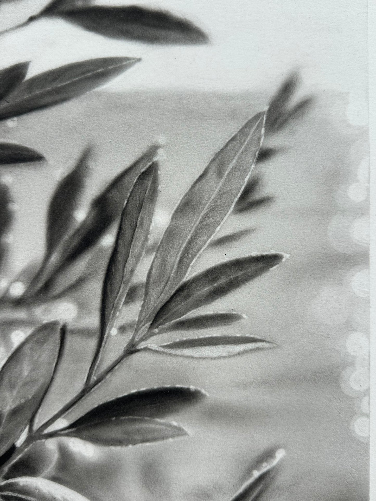 Sur le chemin de la plage - Charcoal Drawing